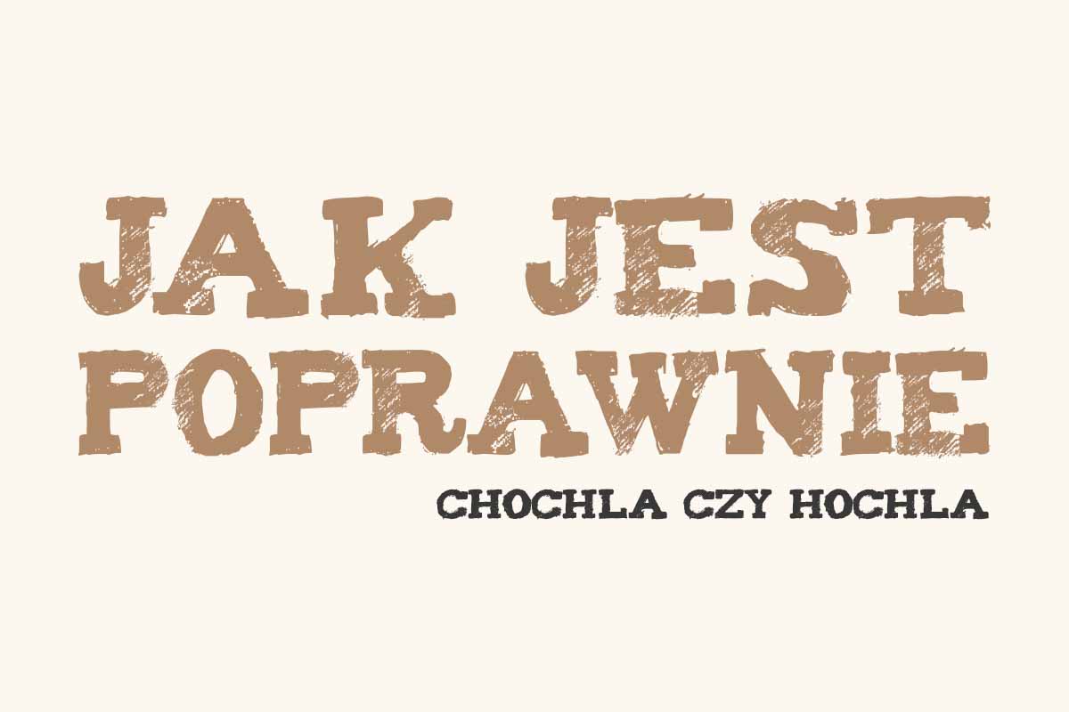 Read more about the article Jak jest poprawnie: chochla czy hochla