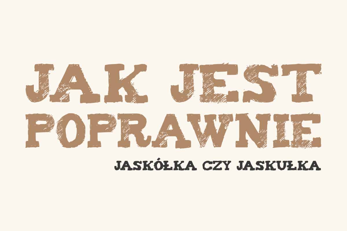 Read more about the article Jak jest poprawnie: jaskółka czy jaskułka