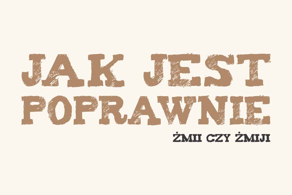 Read more about the article Jak jest poprawnie: żmii czy żmiji