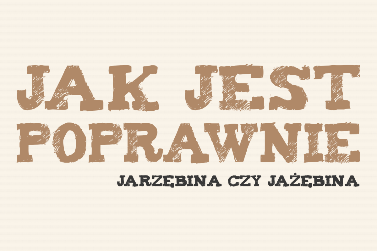 jarzębina czy jażębina