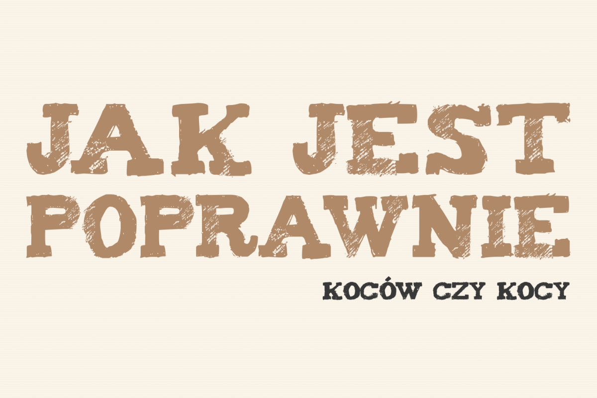 koców czy kocy