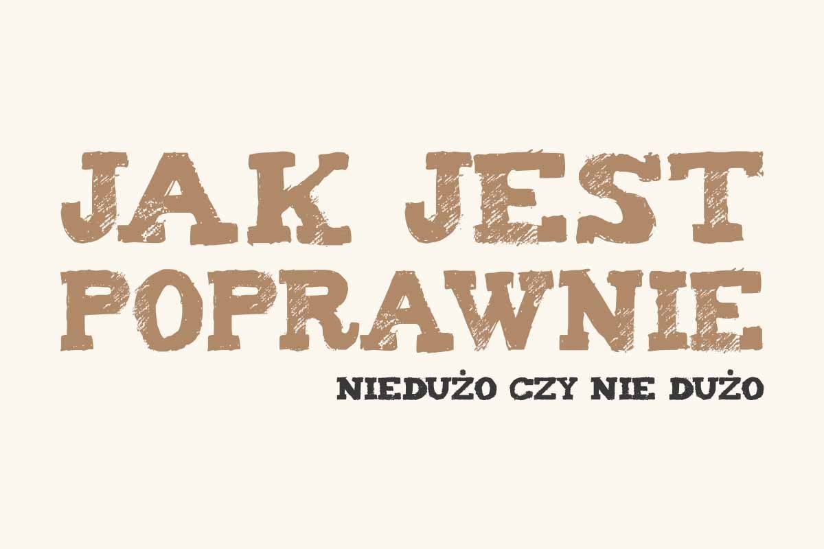 niedużo czy nie dużo jak się pisze